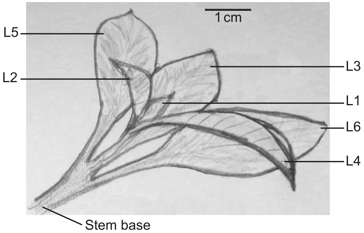 Question image
