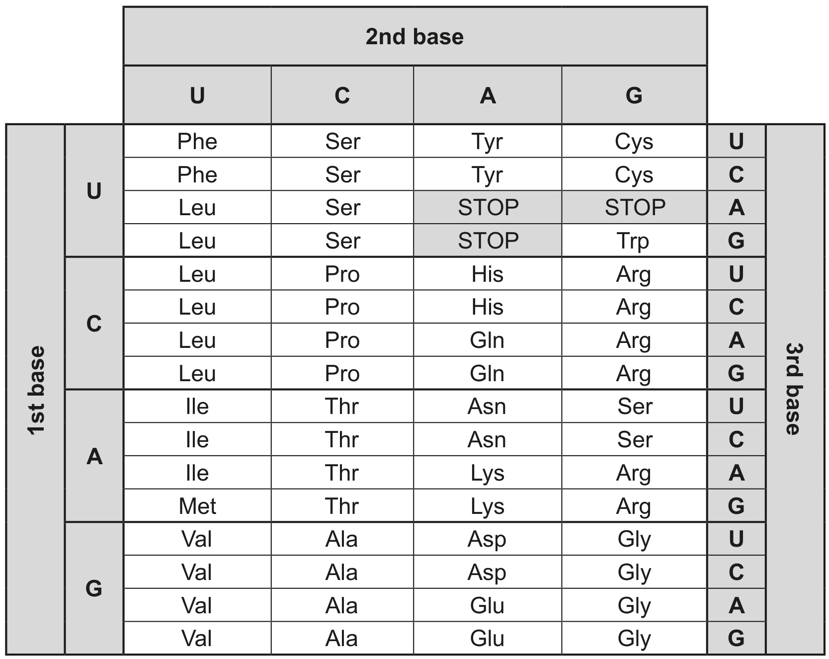 Table
