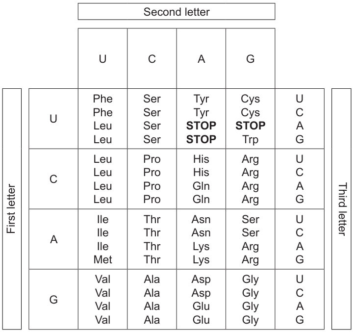 Table