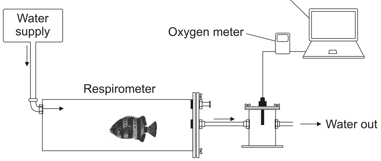 Computer used to record oxygen