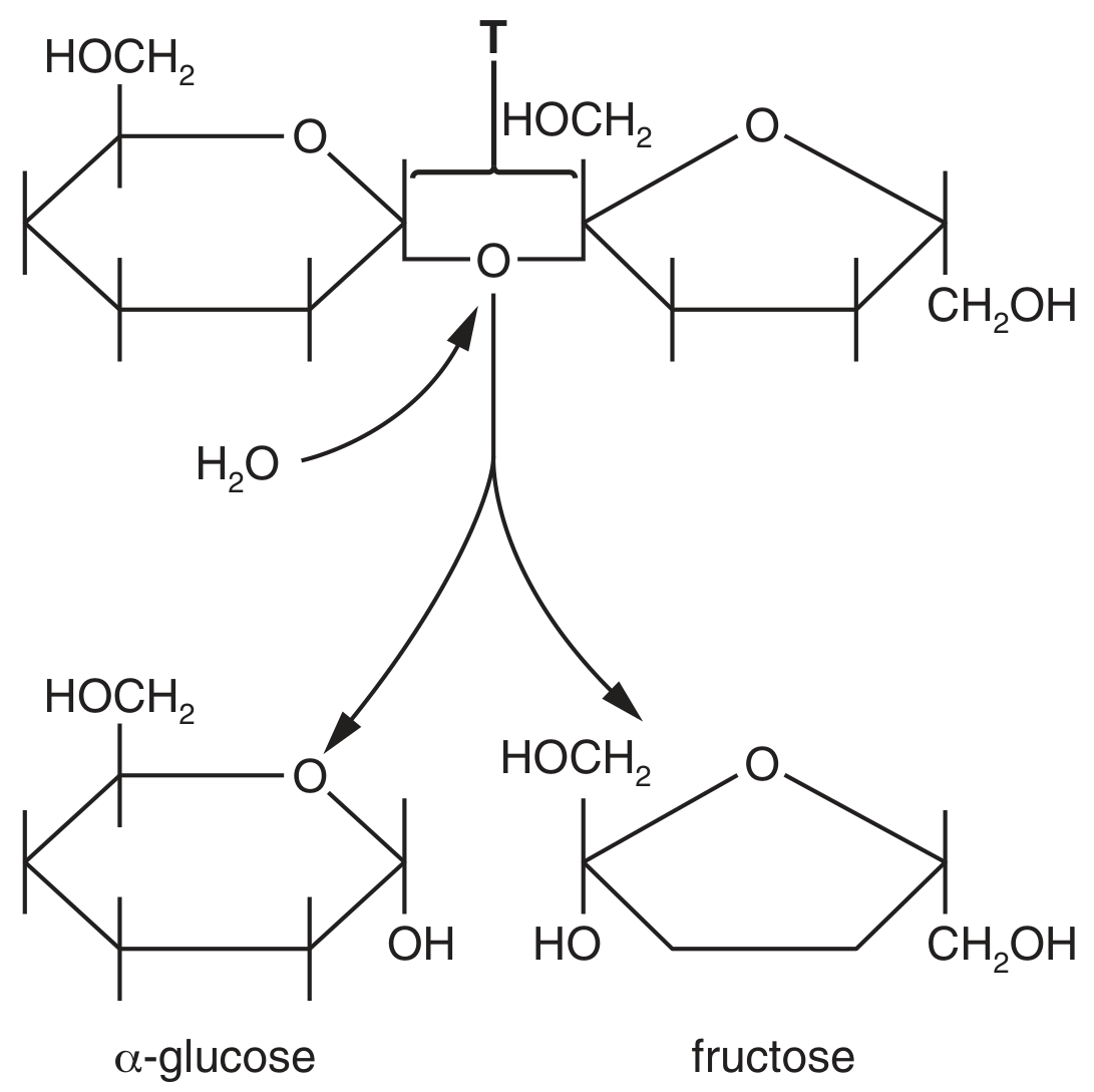 Fig. 1.1