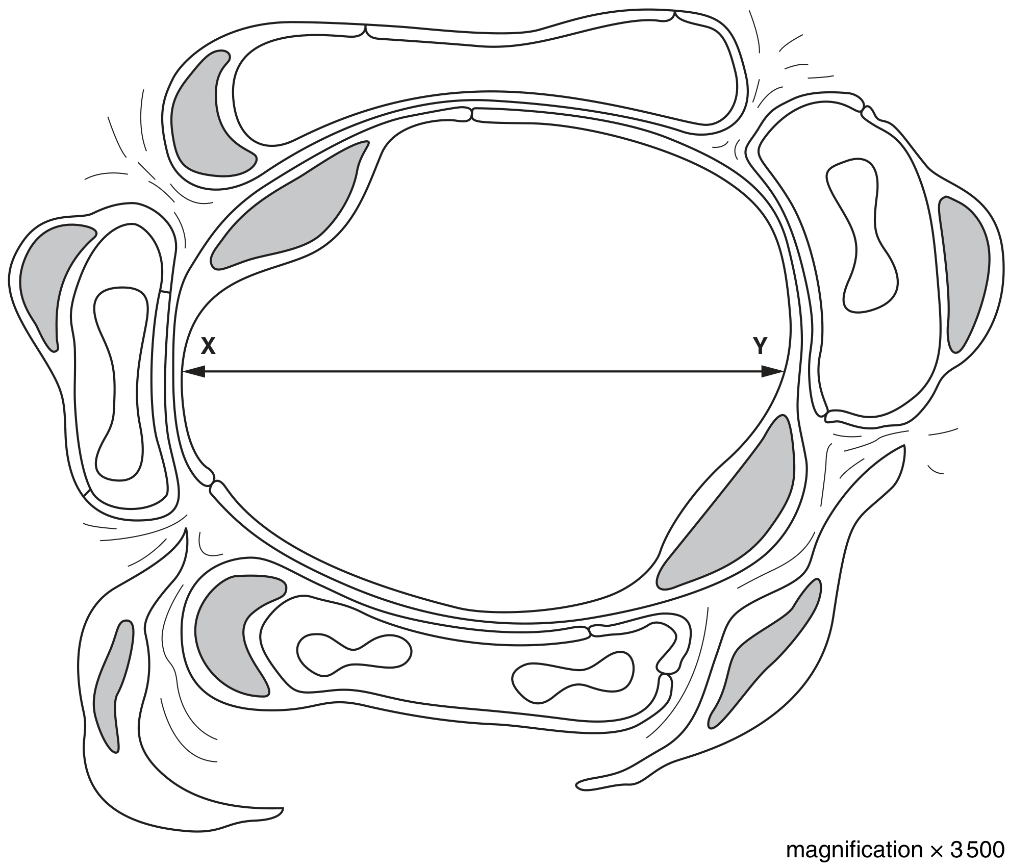 Fig. 2.1