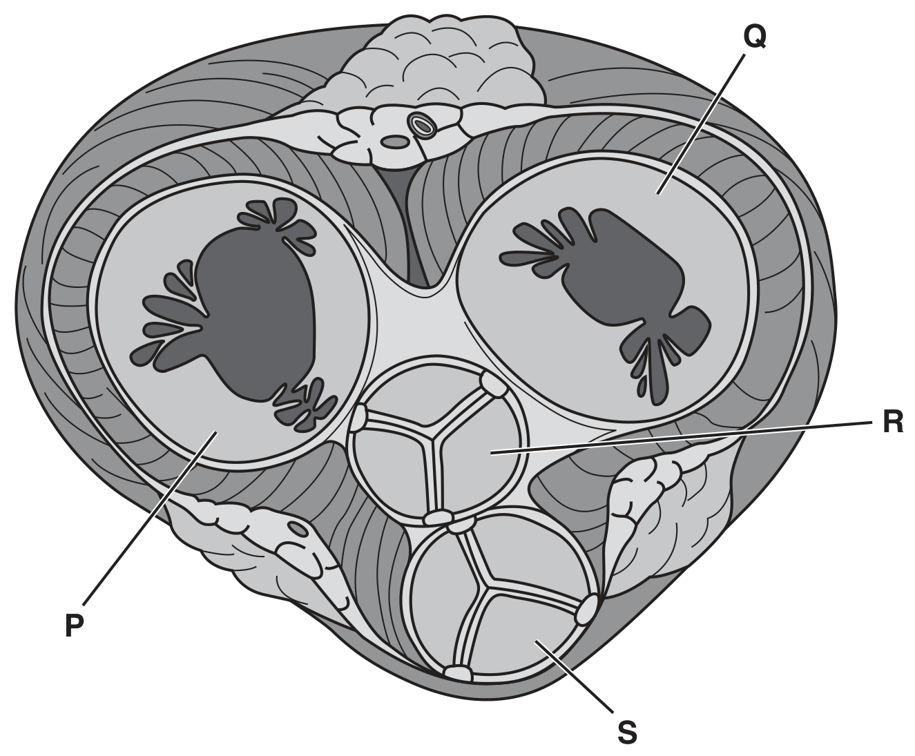 Fig. 3.1