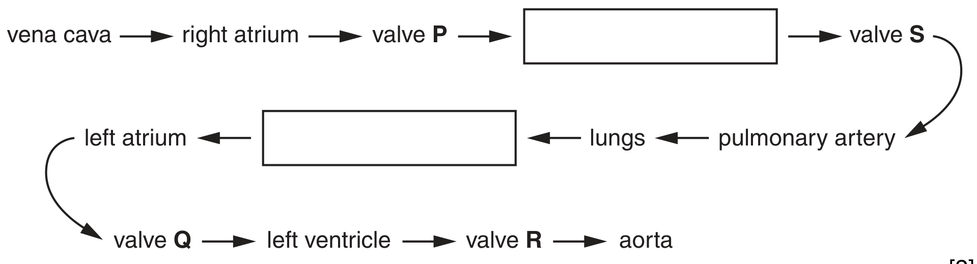 Fig. 3.1