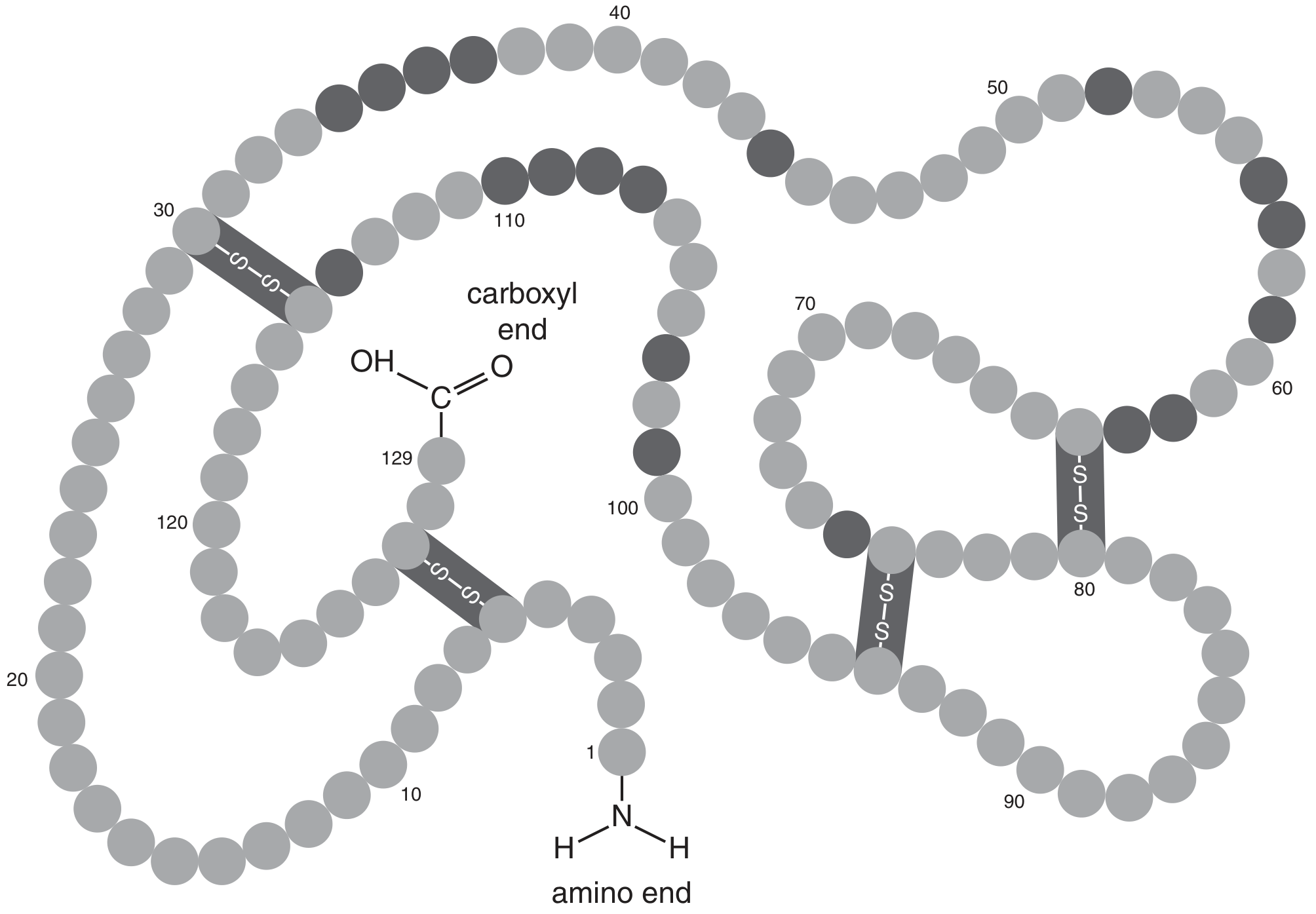 Fig. 4.1