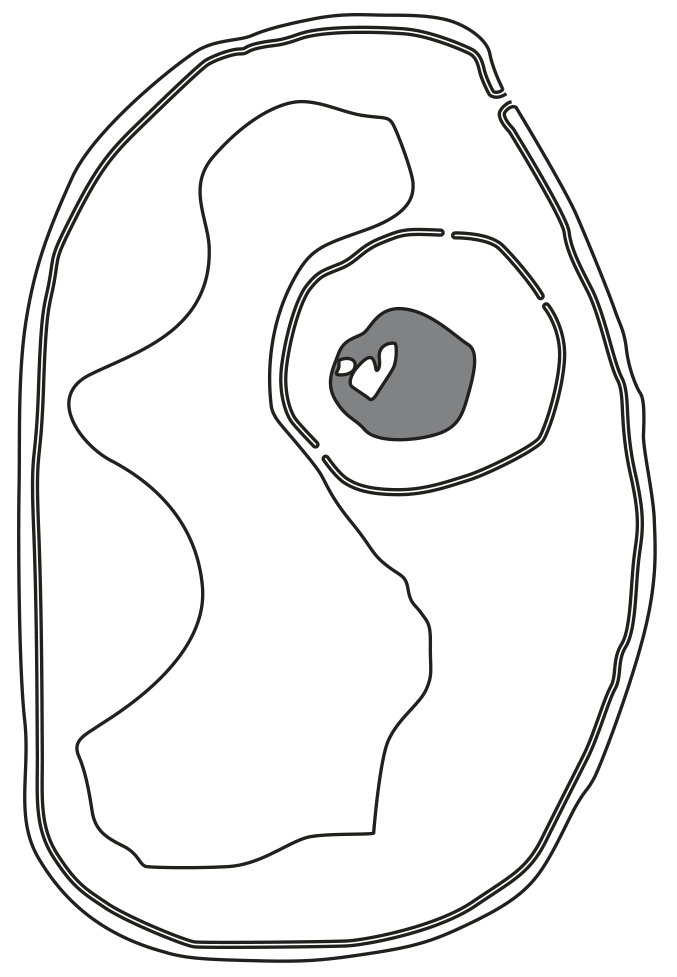 Fig. 1.1