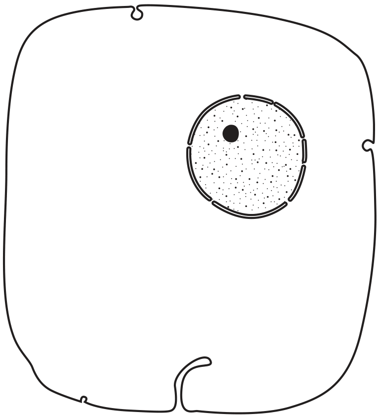 Fig. 1.2