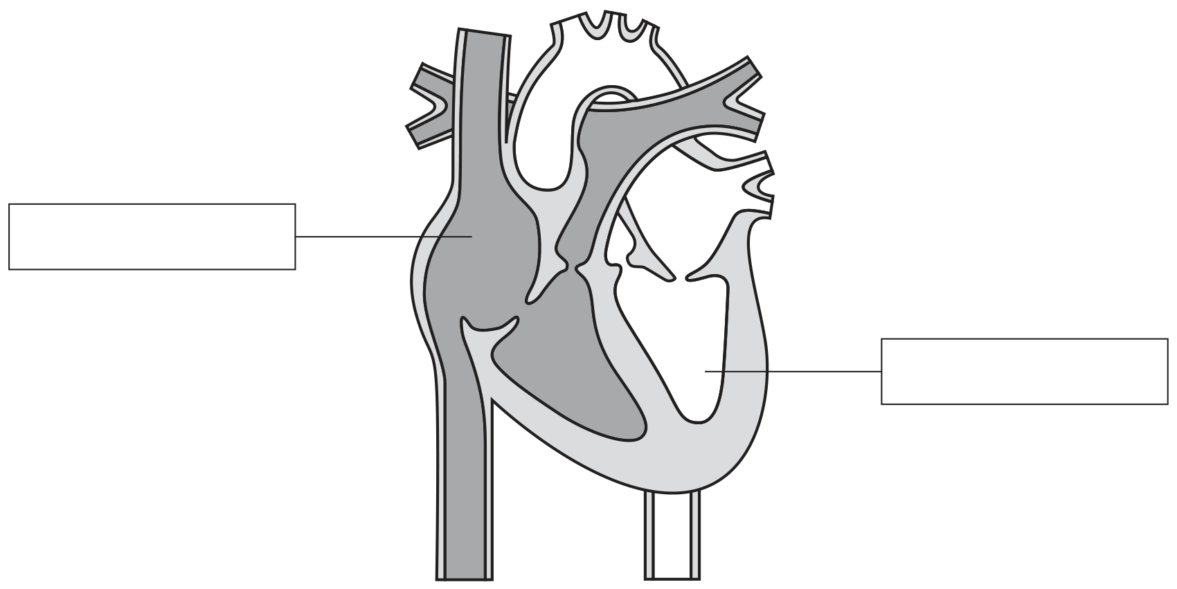 Fig. 2.1