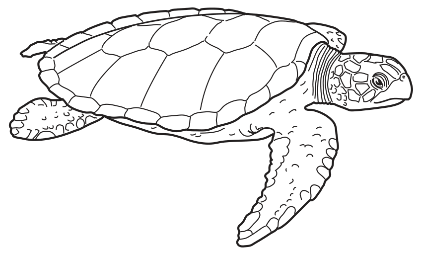 Fig. 1.1