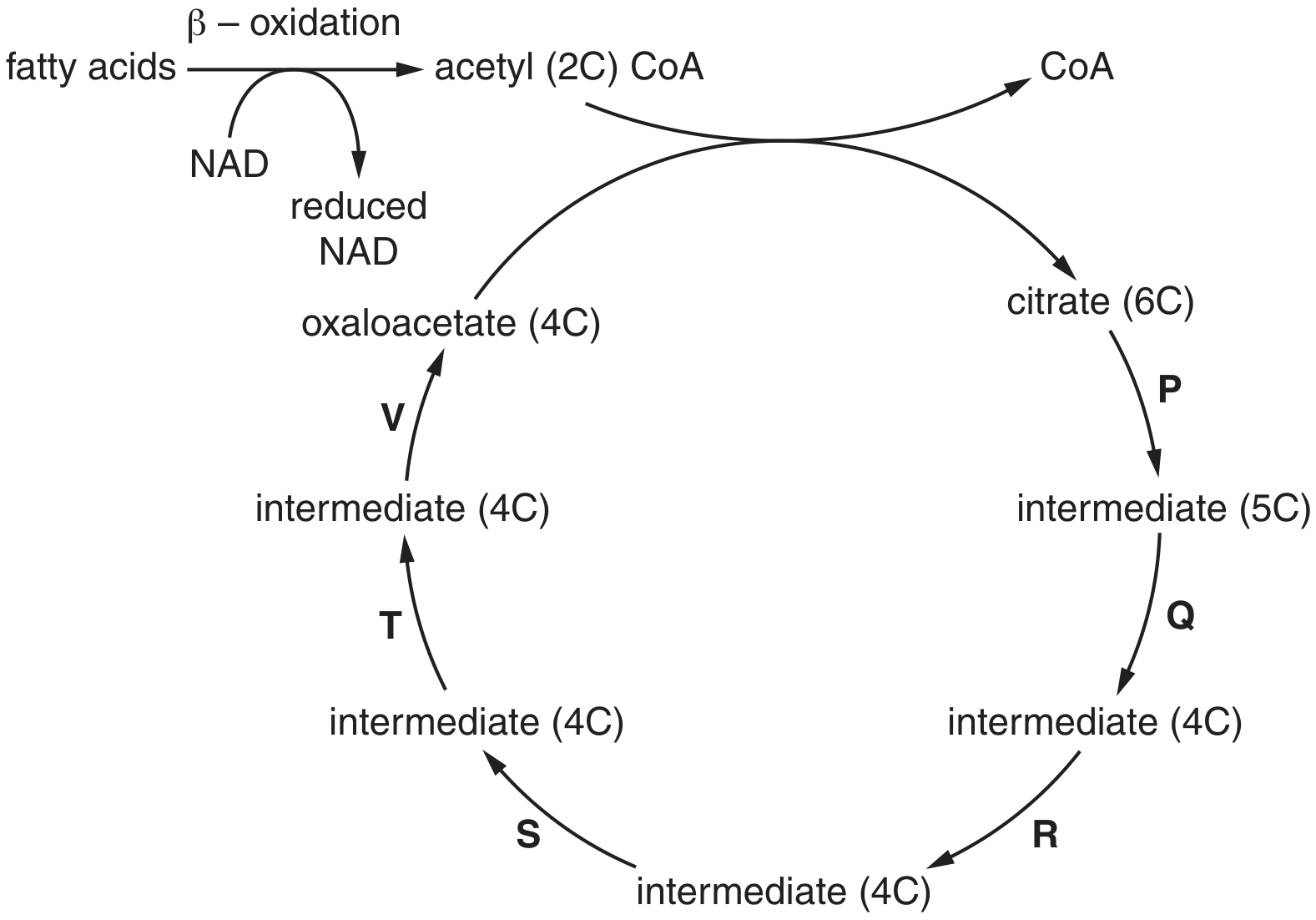Fig. 7.1