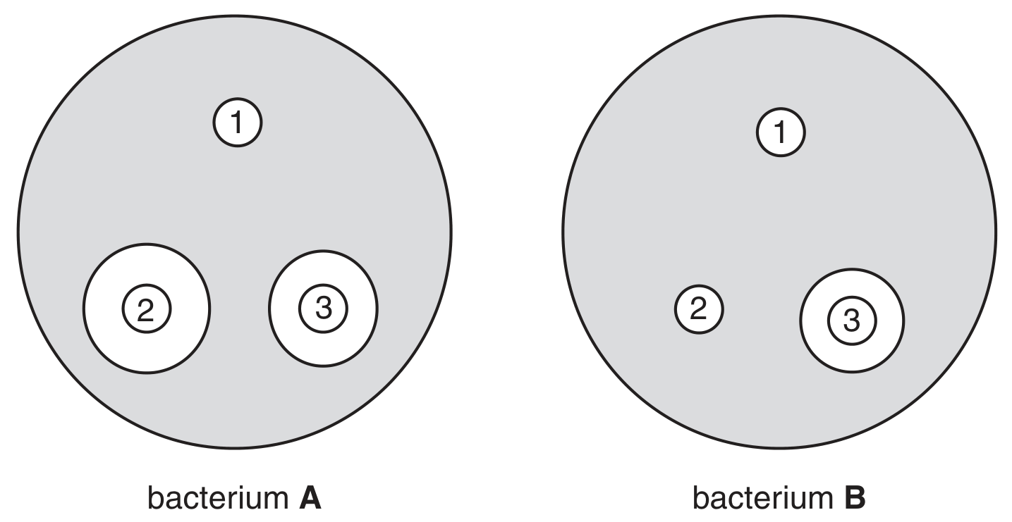 Fig. 3.1