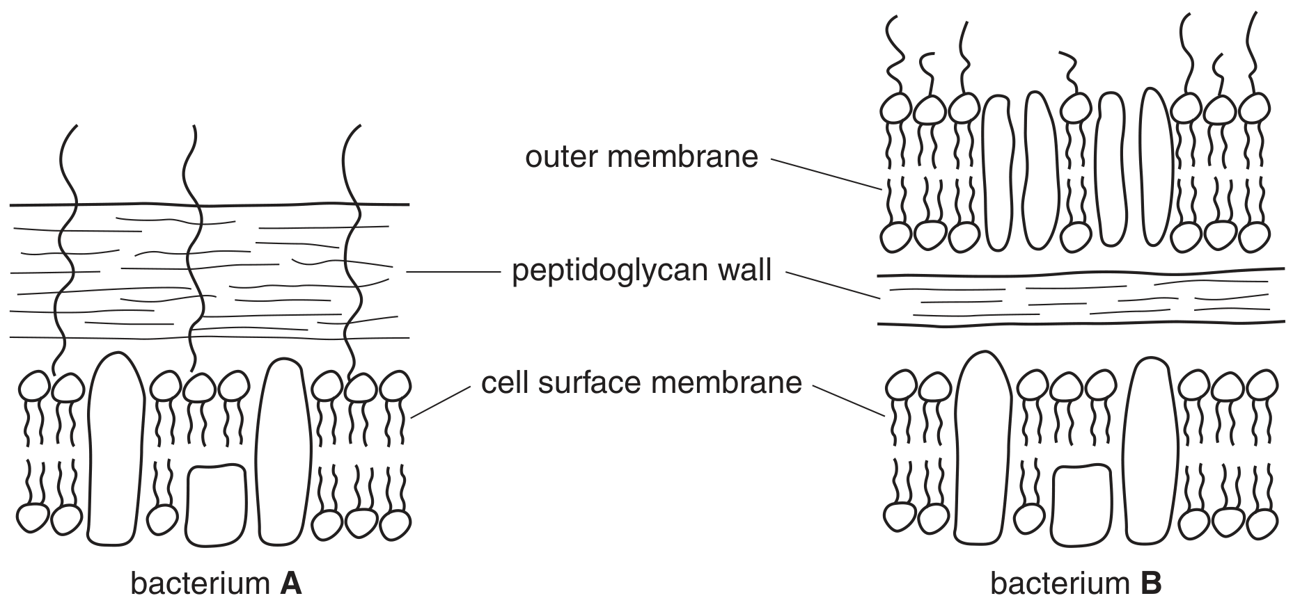 Fig. 3.2