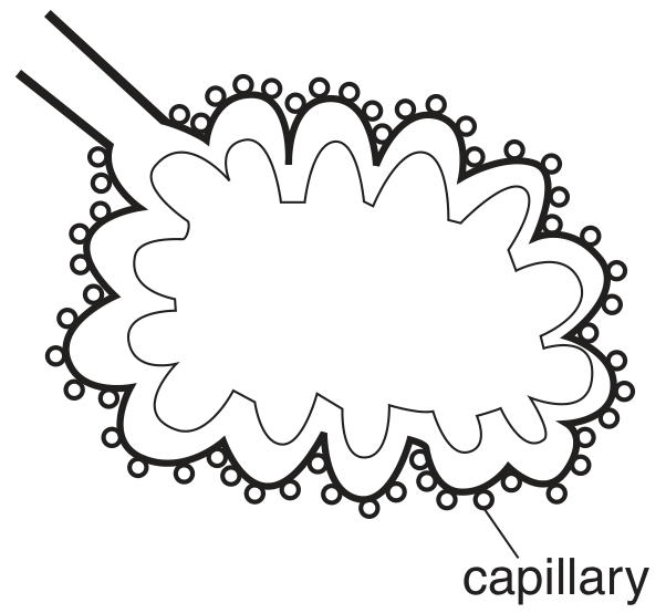 Fig. 5.1