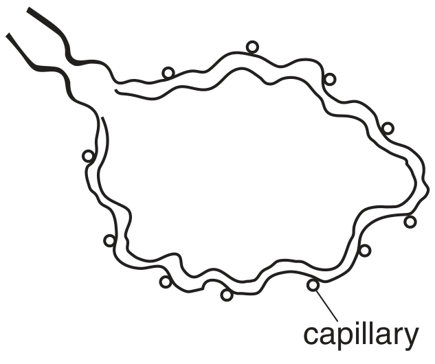 Fig. 5.2