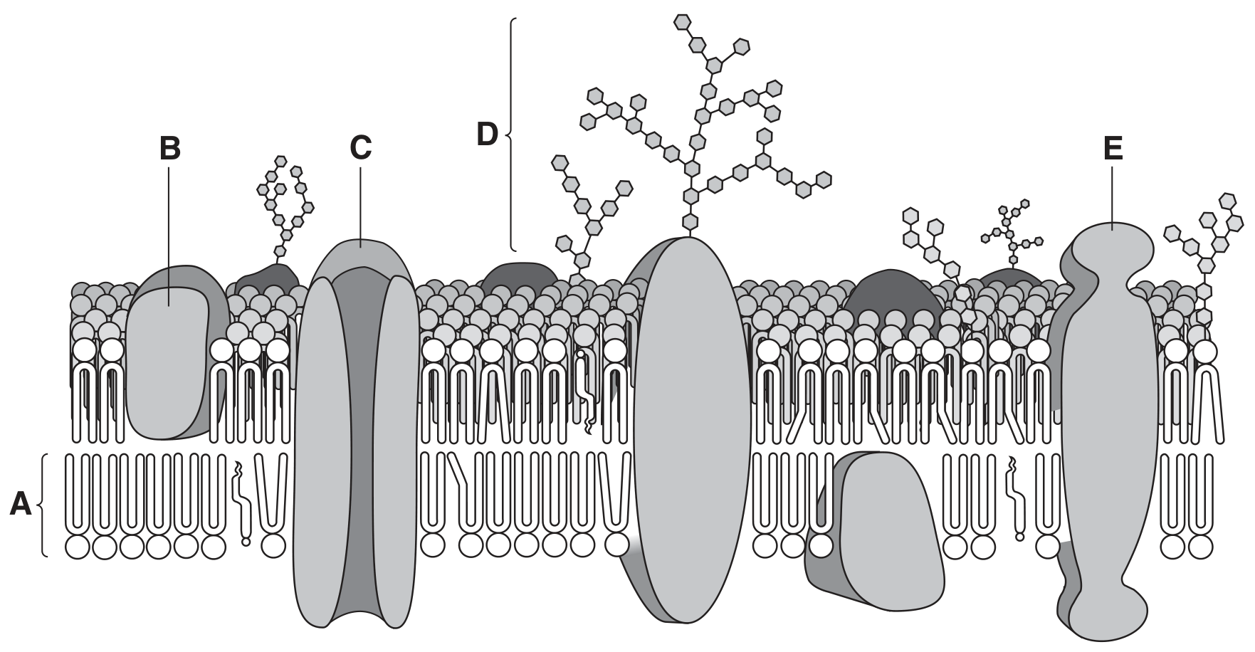 Fig. 1.1
