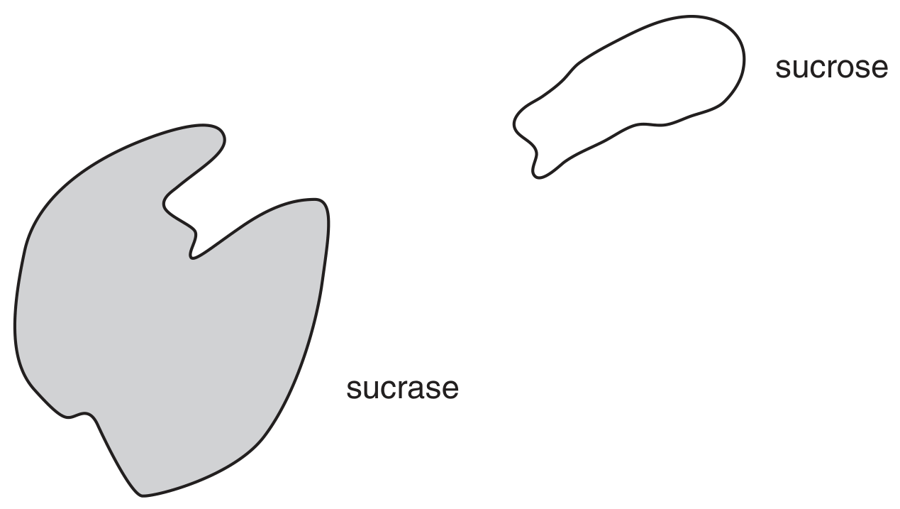 Fig. 3.1