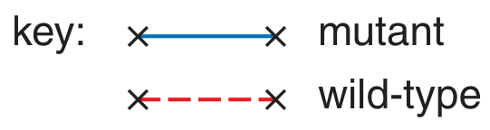 Fig. 2.1