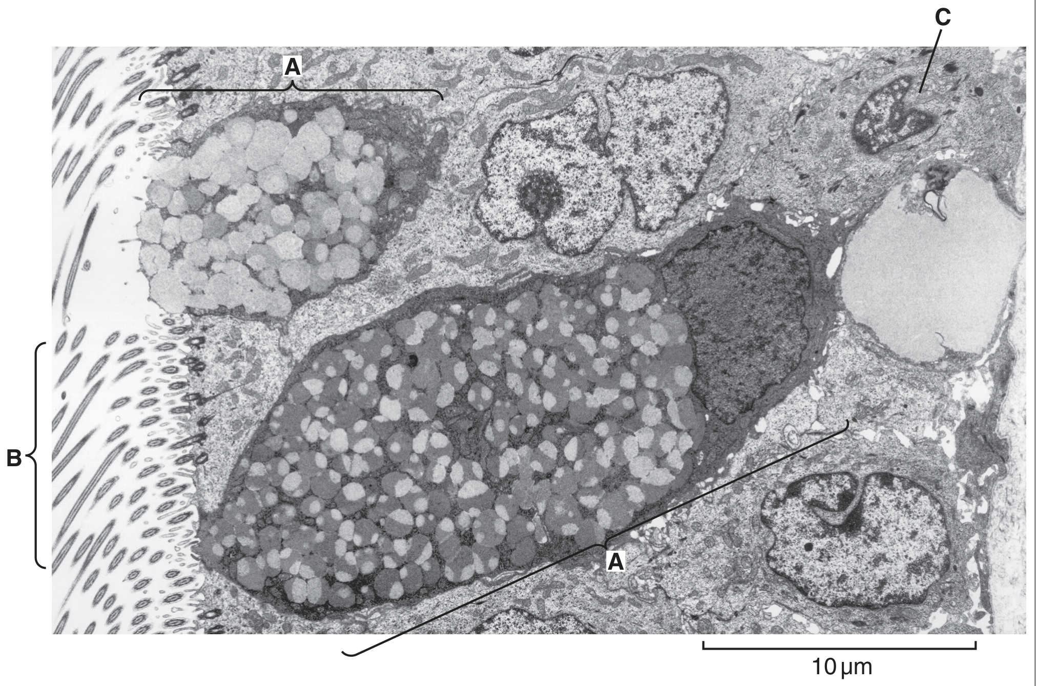 Fig. 1.1