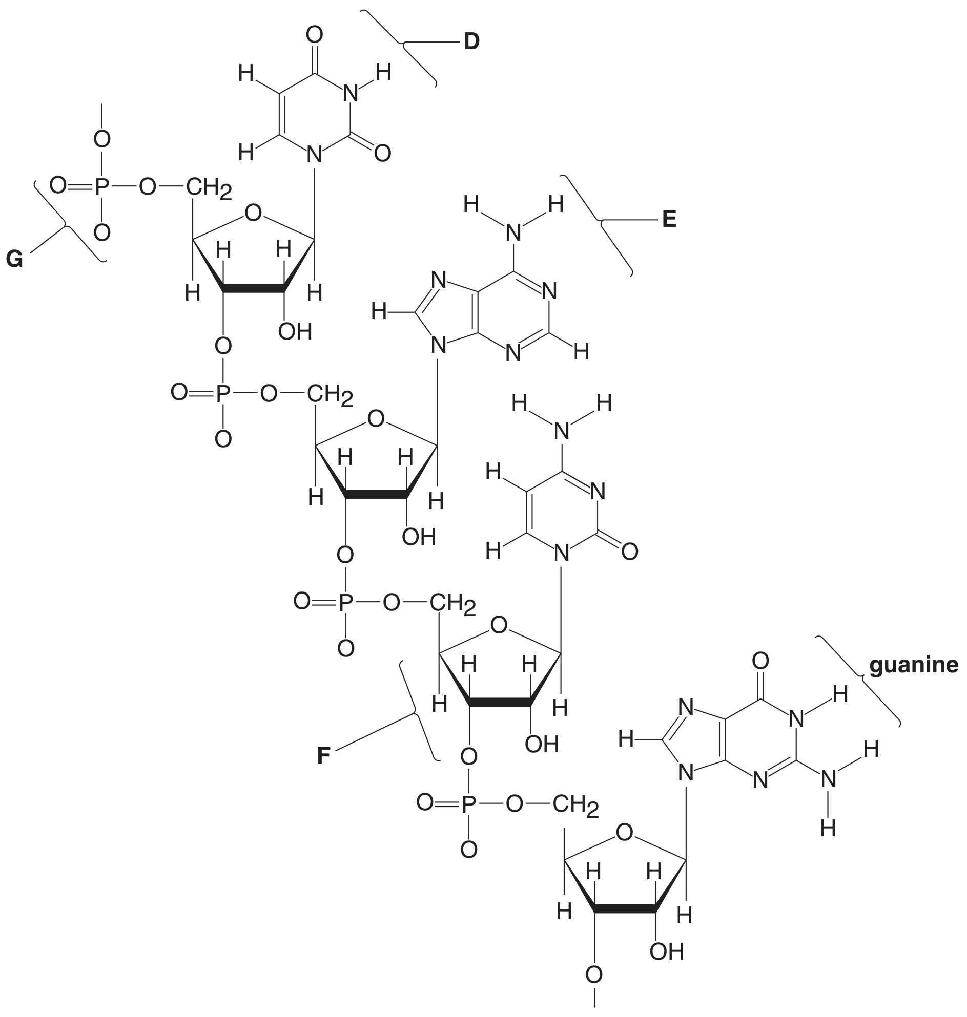 Fig. 3.1