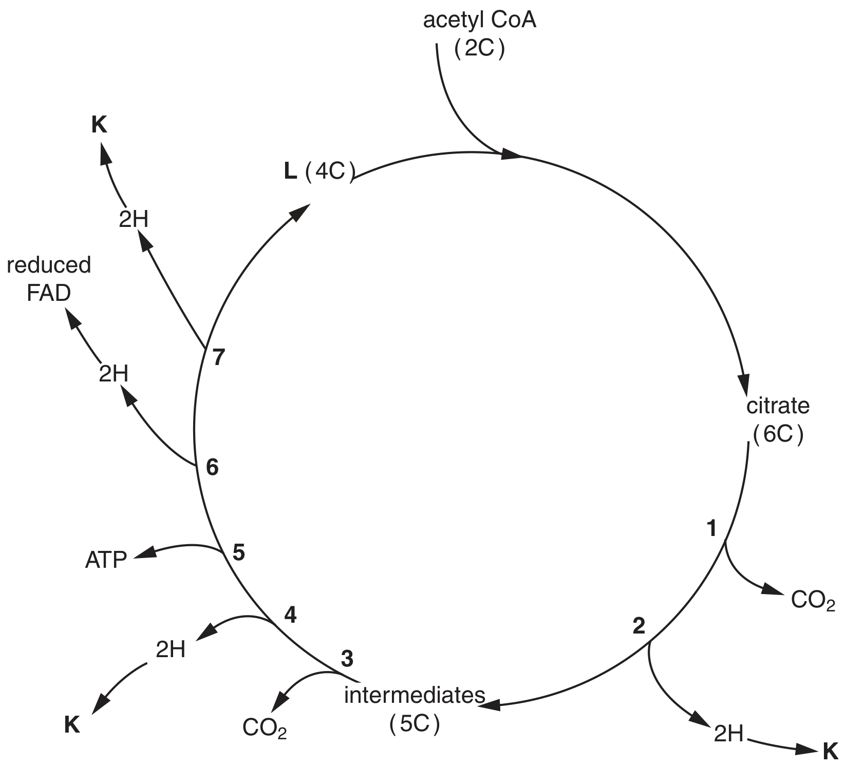Fig. 6.1