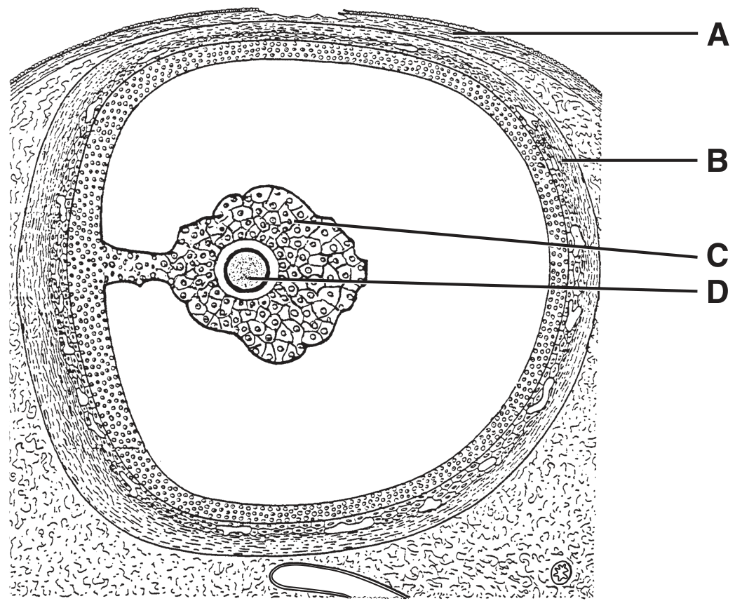 Fig. 3.1