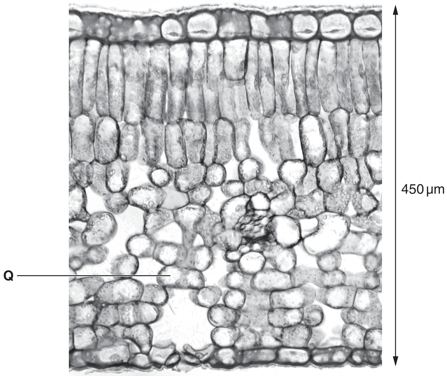 Fig. 3.1