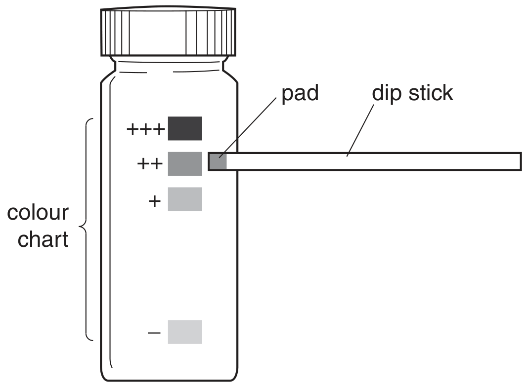 Fig. 2.1