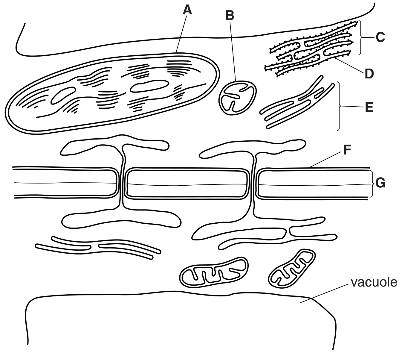 Fig. 2.1