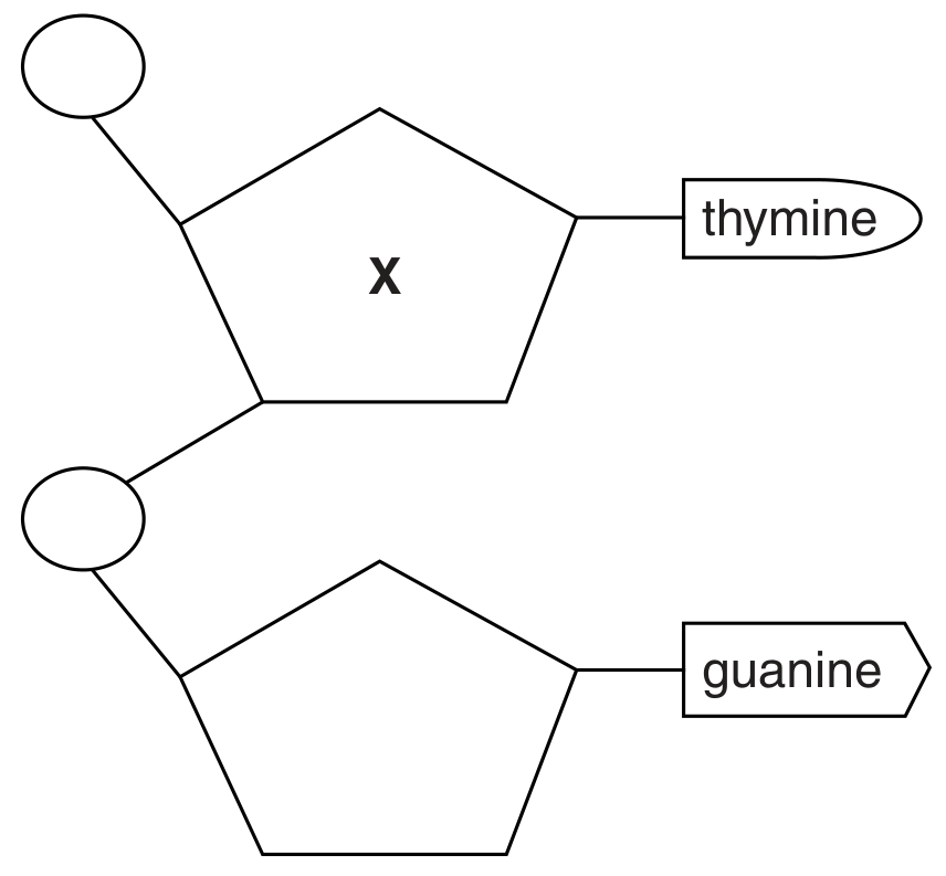 Fig. 4.1