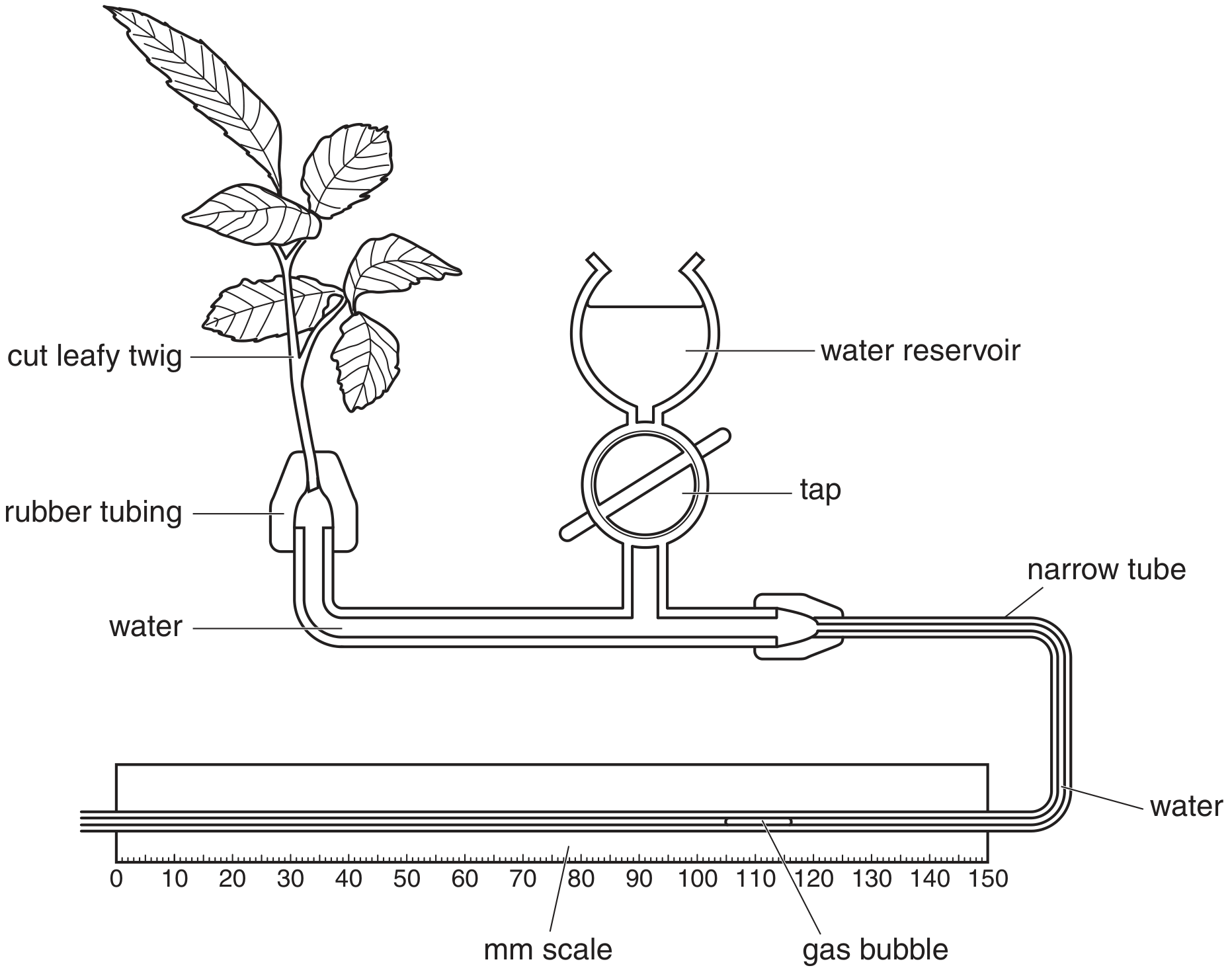 Fig. 2.1