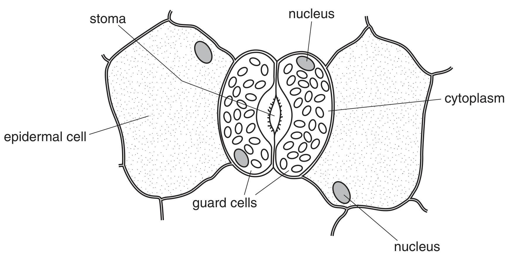 Fig. 8.1
