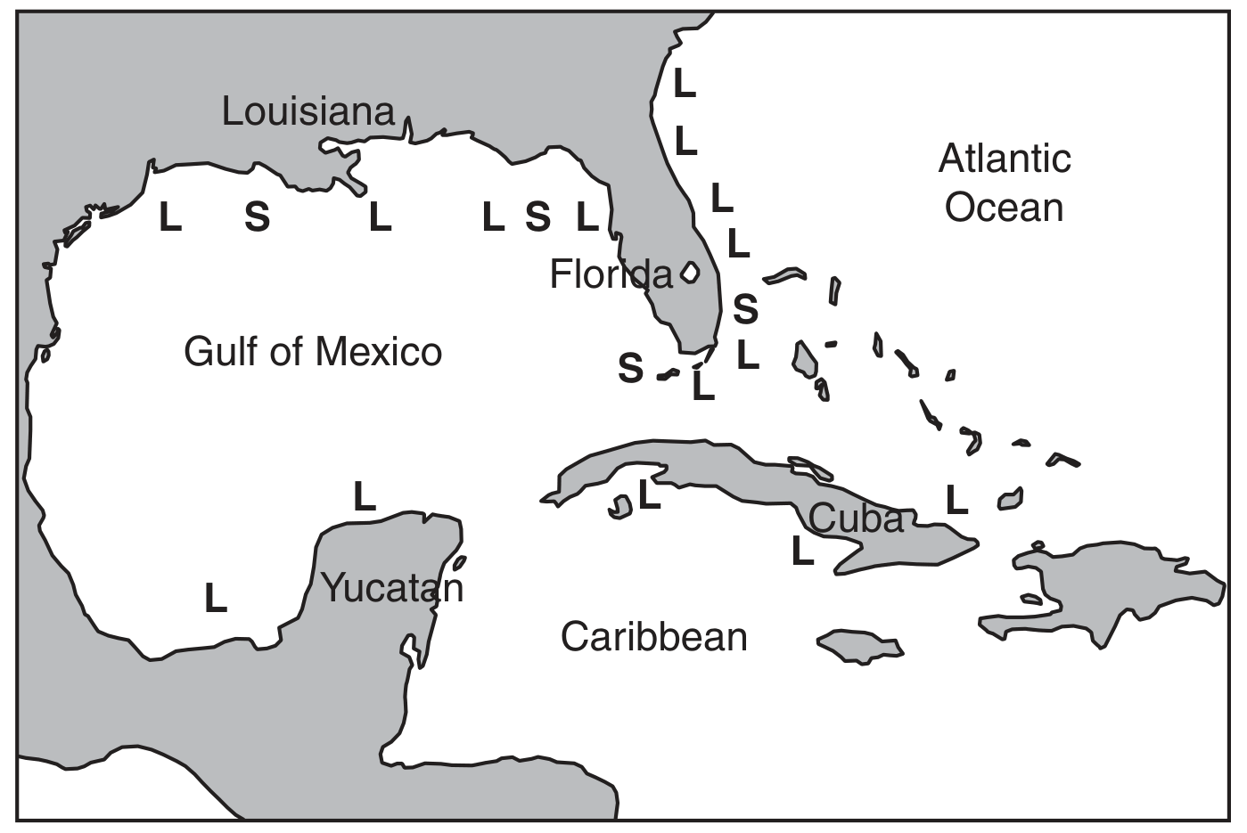 Fig. 1.2