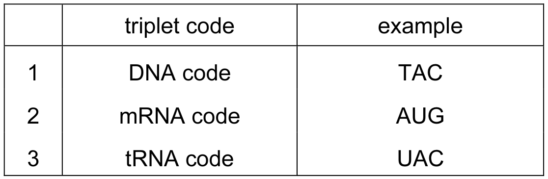 Table
