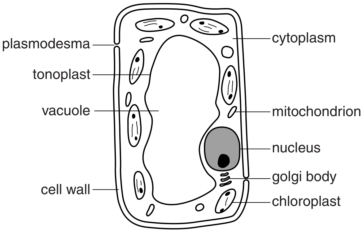 Fig. 1.1