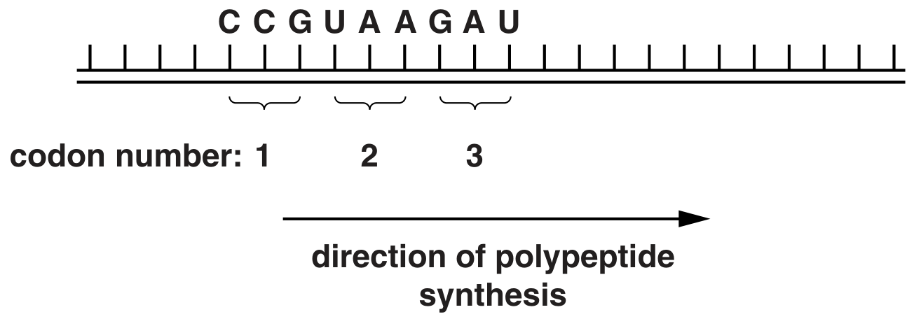 Fig. 5.1