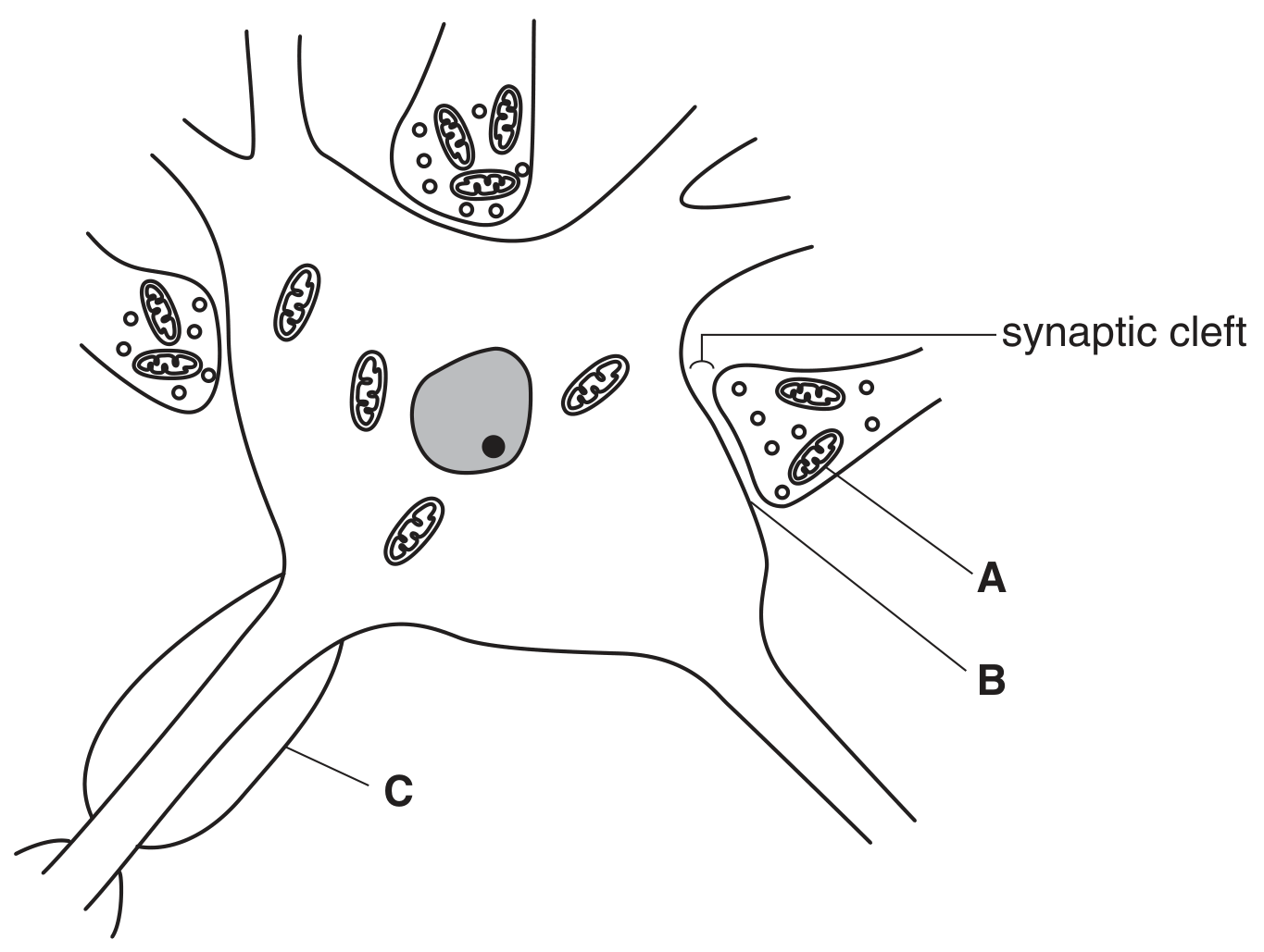 Fig. 1.1