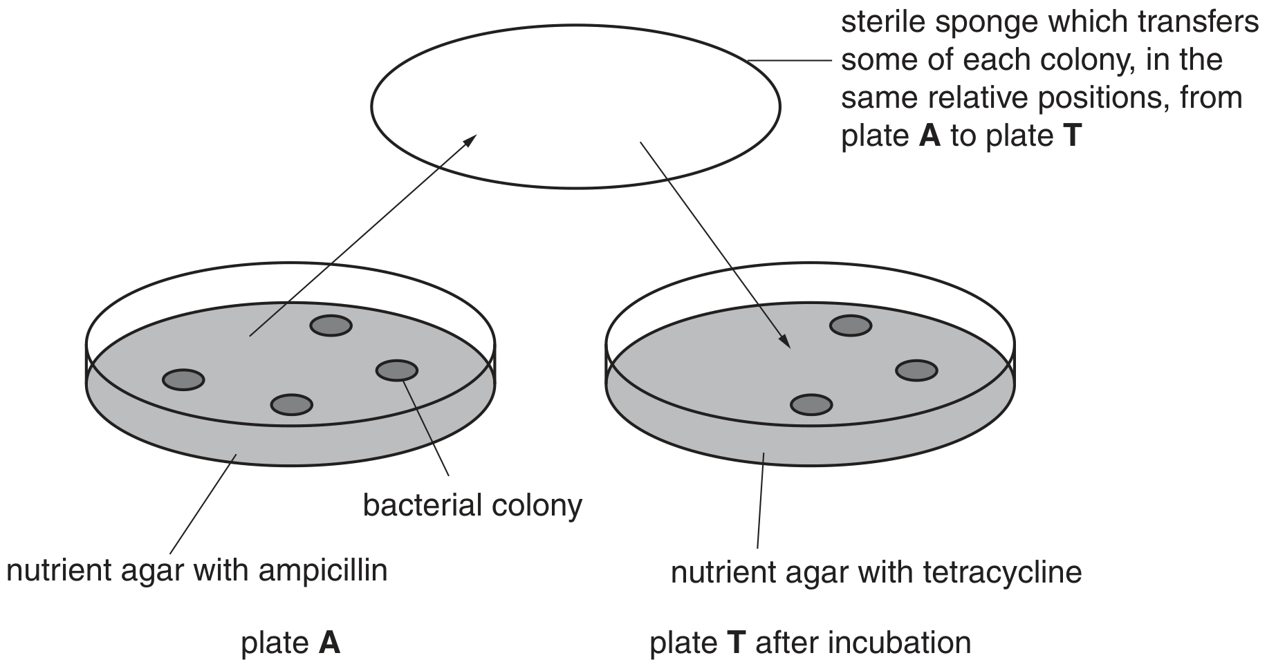 Fig. 2.2
