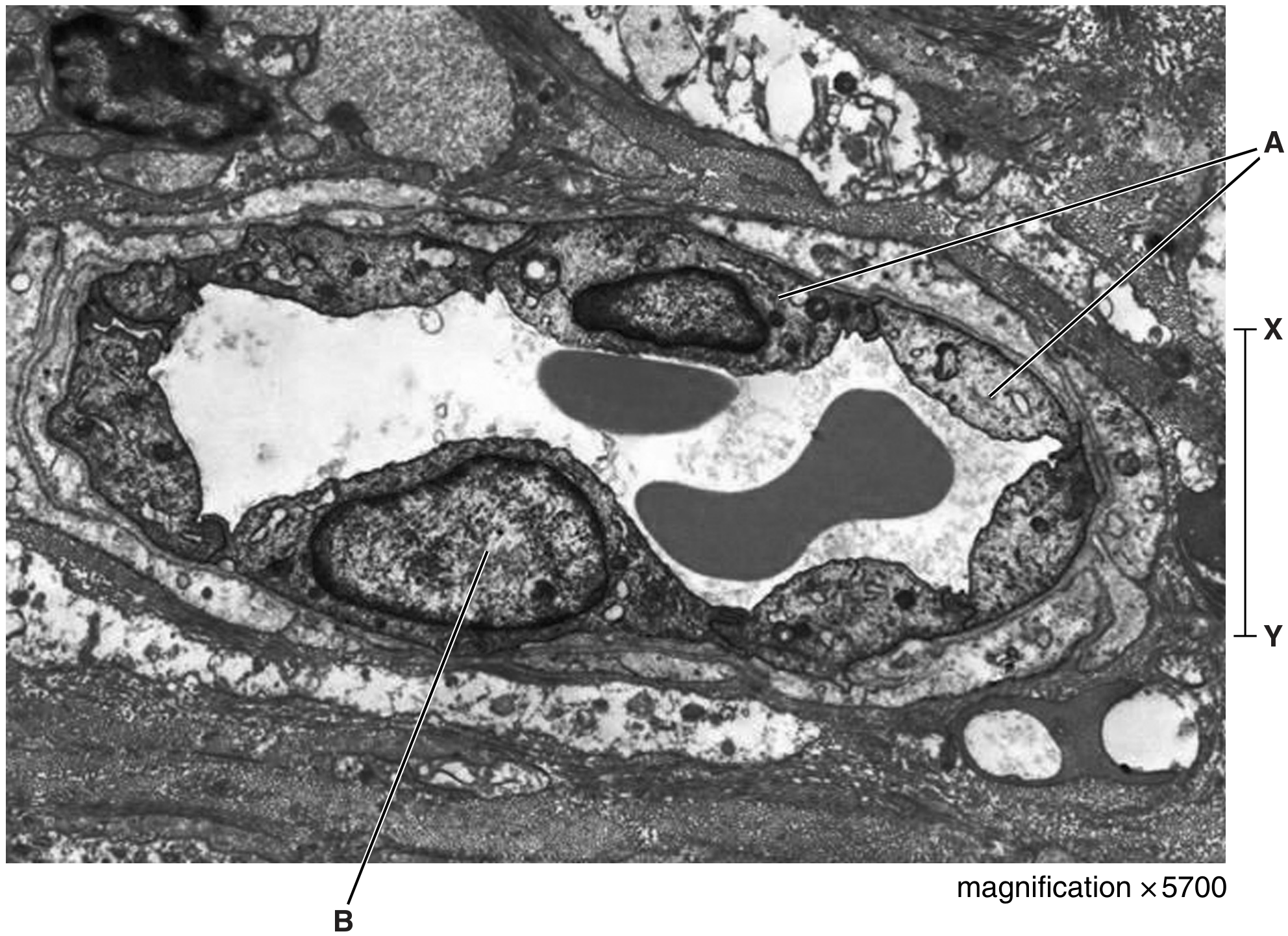 Fig. 1.1