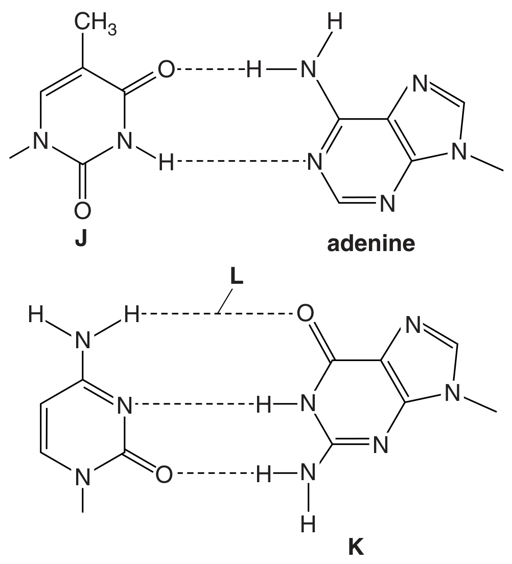 Fig. 4.1