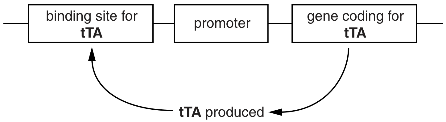 Fig. 2.1