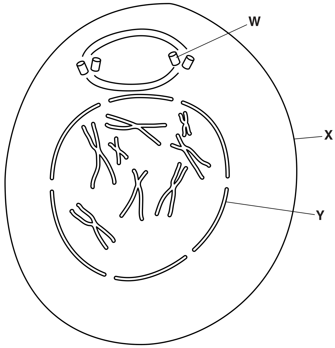 Fig. 1.1