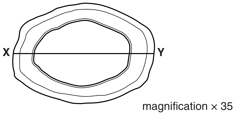 Fig. 1.1