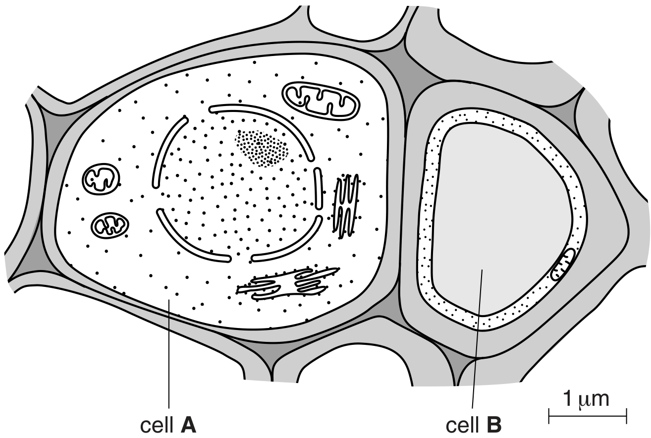 Fig. 3.1