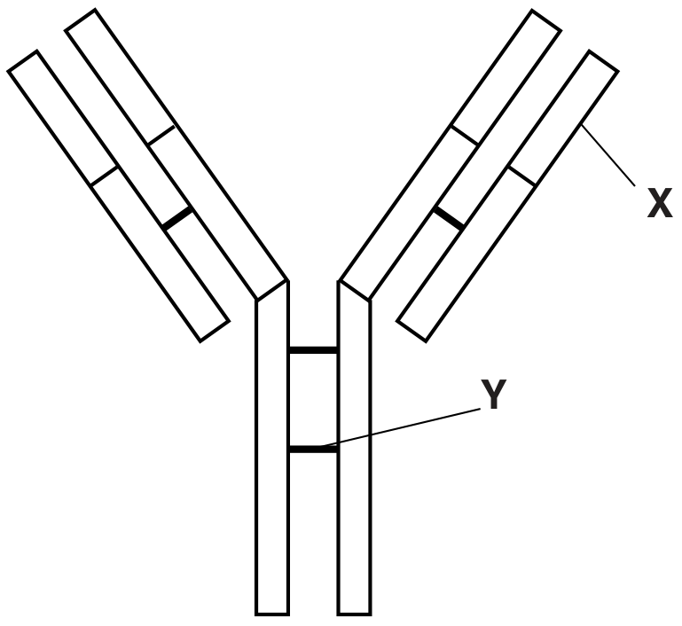 Fig. 1.1