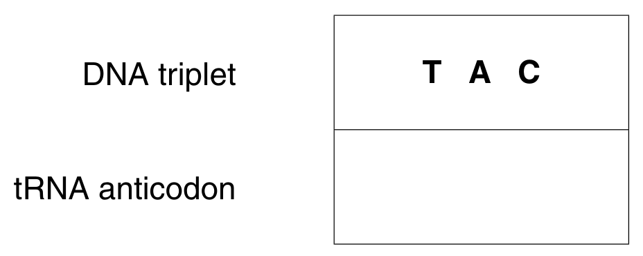 Fig. 2.1