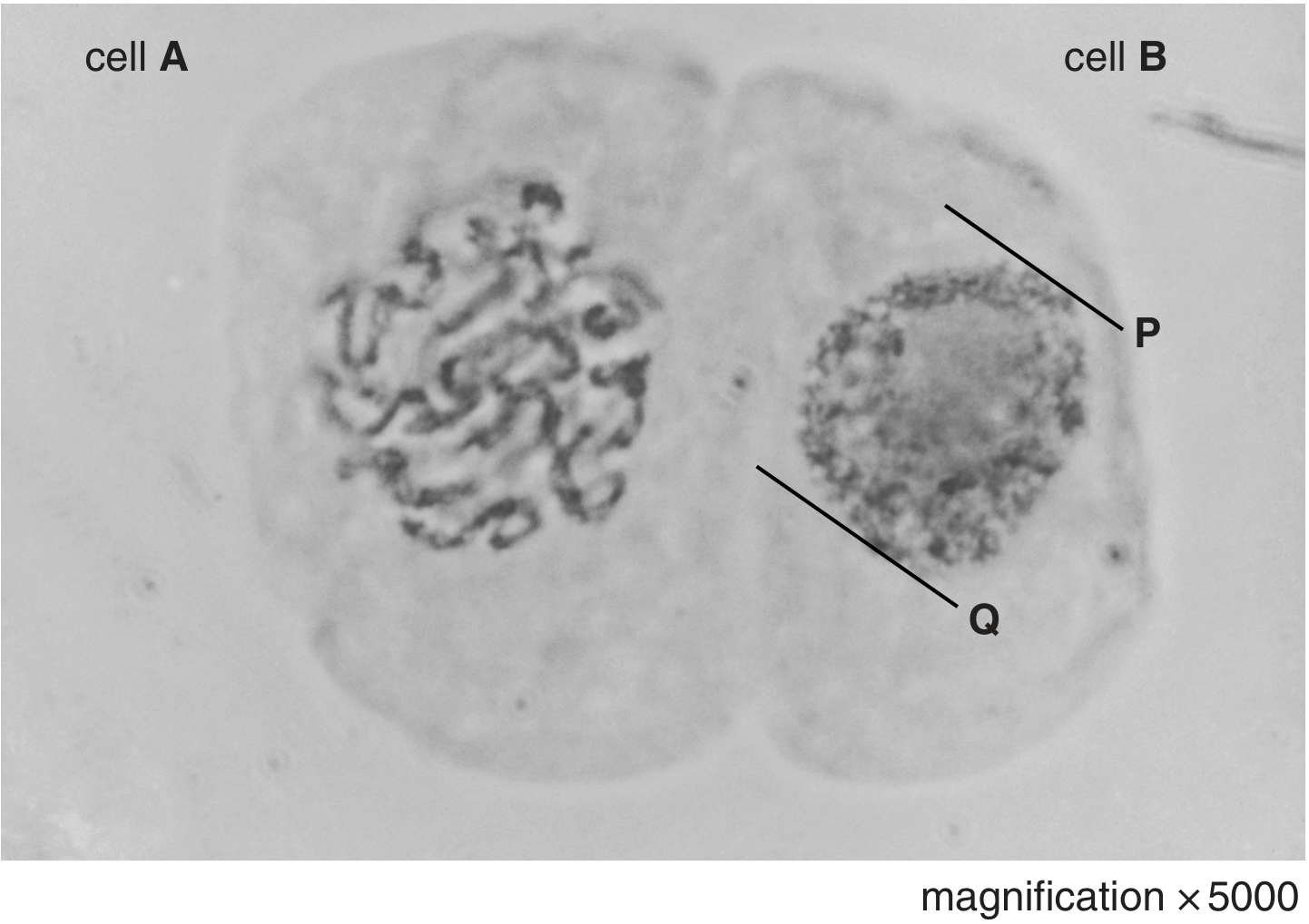 Fig. 3.1