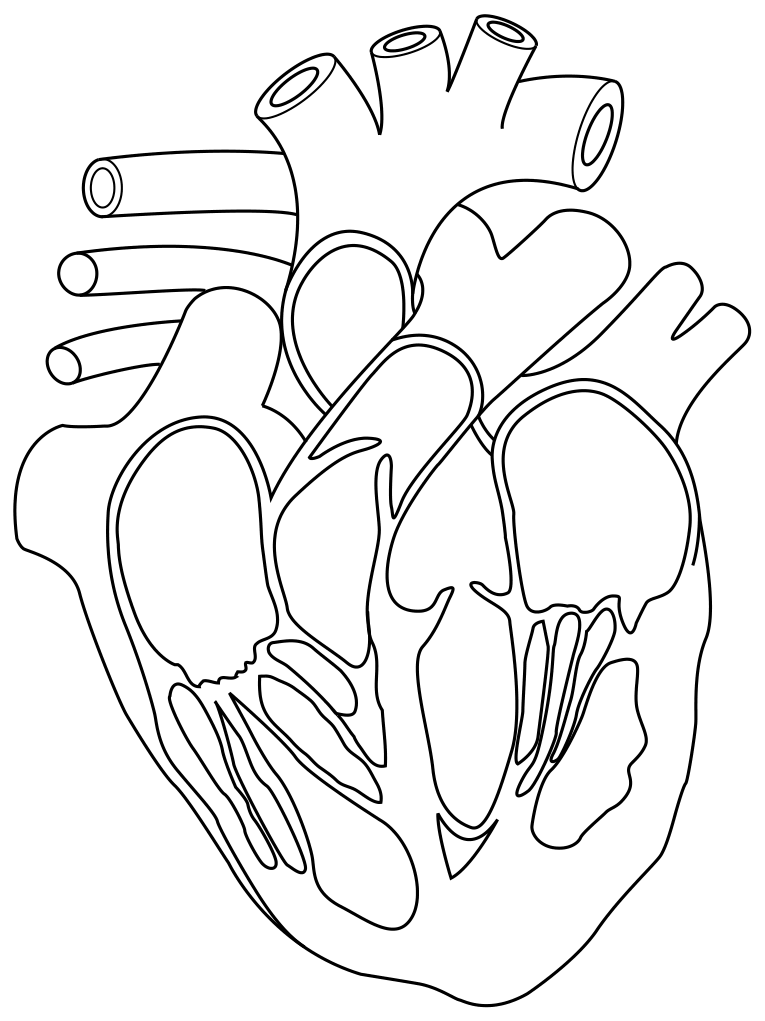 Fig. 4.1