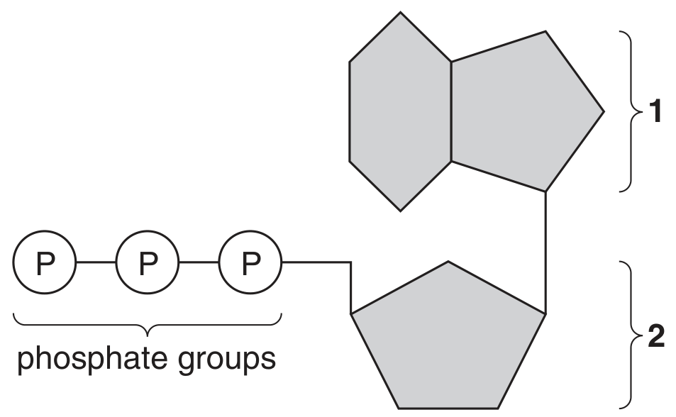 Fig. 3.1