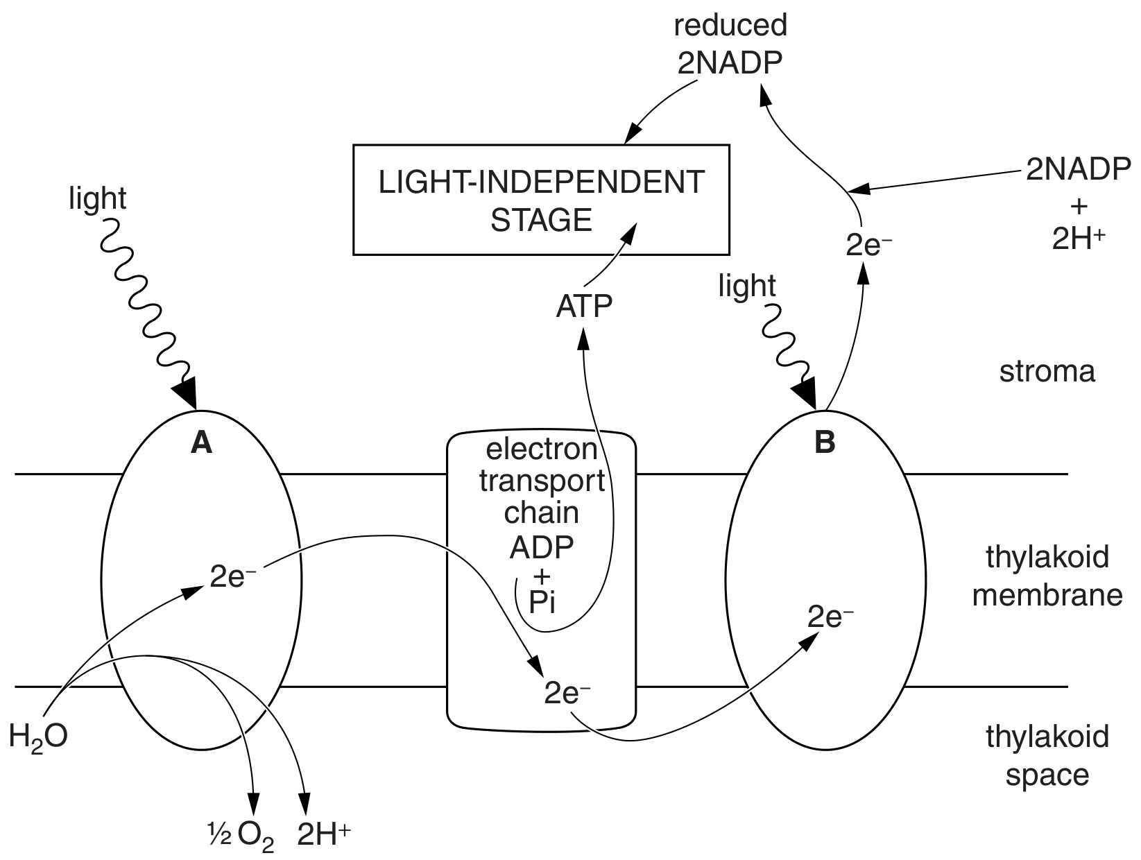 Fig. 7.1
