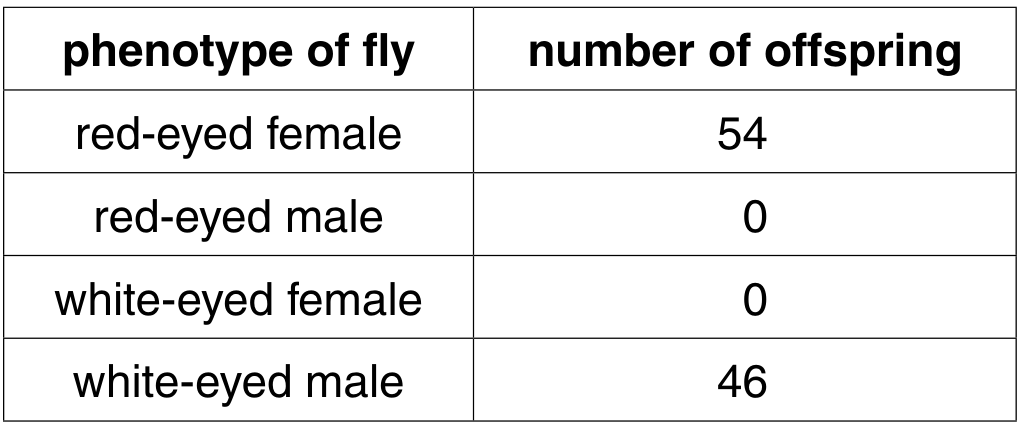 Table 1.1